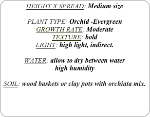 HEIGHT X SPREAD: Medium size

PLANT TYPE: Orchid -Evergreen
GROWTH RATE: Moderate
TEXTURE: bold
LIGHT: high light, indirect.

WATER: allow to dry between water
high humidity 

SOIL: wood baskets or clay pots with orchiata mix.
