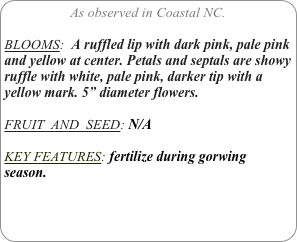 As observed in Coastal NC.

BLOOMS:  A ruffled lip with dark pink, pale pink and yellow at center. Petals and septals are showy ruffle with white, pale pink, darker tip with a yellow mark. 5” diameter flowers.

FRUIT  AND  SEED: N/A

KEY FEATURES: fertilize during gorwing season.