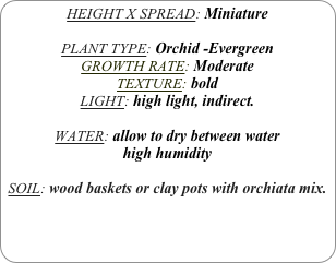 HEIGHT X SPREAD: Miniature 

PLANT TYPE: Orchid -Evergreen
GROWTH RATE: Moderate
TEXTURE: bold
LIGHT: high light, indirect.

WATER: allow to dry between water
high humidity 

SOIL: wood baskets or clay pots with orchiata mix.
