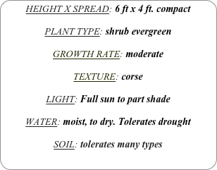 HEIGHT X SPREAD: 6 ft x 4 ft. compact

PLANT TYPE: shrub evergreen

GROWTH RATE: moderate

TEXTURE: corse

LIGHT: Full sun to part shade

WATER: moist, to dry. Tolerates drought

SOIL: tolerates many types
