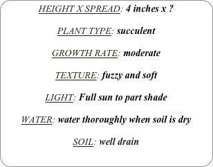 HEIGHT X SPREAD: 4 inches x ?

PLANT TYPE: succulent

GROWTH RATE: moderate

TEXTURE: fuzzy and soft

LIGHT: Full sun to part shade

WATER: water thoroughly when soil is dry

SOIL: well drain

