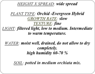 HEIGHT X SPREAD: wide spread

PLANT TYPE: Orchid -Evergreen Hybrid
GROWTH RATE: slow
TEXTURE: fine
LIGHT: filtered light, low to medium. Intermediate to warm temperature.

WATER: moist well, drained, do not allow to dry completely.
high humidity 60-70 %

SOIL: potted in medium orchiata mix.
