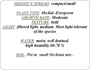HEIGHT X SPREAD: compact/small

PLANT TYPE: Orchid -Evergreen
GROWTH RATE: Moderate
TEXTURE: bold
LIGHT: filtered light, medium. Most light tolerant of the species

WATER: moist, well drained. 
high humidity 60-70 %

SOIL: Pot in  small Orchiata mix .
