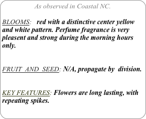 As observed in Coastal NC.

BLOOMS:   red with a distinctive center yellow and white pattern. Perfume fragrance is very pleasent and strong during the morning hours only.


FRUIT  AND  SEED: N/A, propagate by  division.


KEY FEATURES: Flowers are long lasting, with repeating spikes.