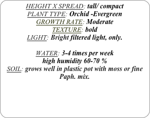 HEIGHT X SPREAD: tall/ compact
PLANT TYPE: Orchid -Evergreen
GROWTH RATE: Moderate
TEXTURE: bold
LIGHT: Bright filtered light, only.

WATER: 3-4 times per week
high humidity 60-70 %
SOIL: grows well in plastic pot with moss or fine Paph. mix.
