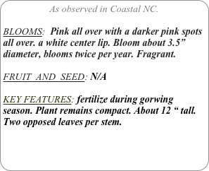 As observed in Coastal NC.

BLOOMS:  Pink all over with a darker pink spots all over. a white center lip. Bloom about 3.5” diameter, blooms twice per year. Fragrant.

FRUIT  AND  SEED: N/A

KEY FEATURES: fertilize during gorwing season. Plant remains compact. About 12 “ tall.
Two opposed leaves per stem.