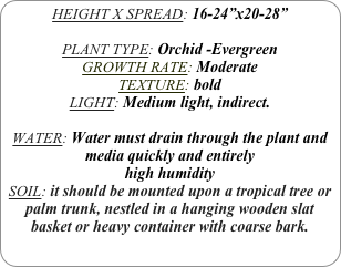 HEIGHT X SPREAD: 16-24”x20-28”

PLANT TYPE: Orchid -Evergreen
GROWTH RATE: Moderate
TEXTURE: bold
LIGHT: Medium light, indirect.

WATER: Water must drain through the plant and media quickly and entirely
high humidity 
SOIL: it should be mounted upon a tropical tree or palm trunk, nestled in a hanging wooden slat basket or heavy container with coarse bark.
