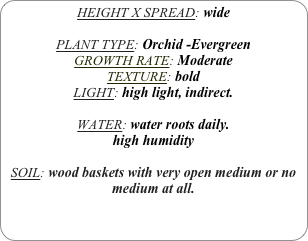 HEIGHT X SPREAD: wide

PLANT TYPE: Orchid -Evergreen
GROWTH RATE: Moderate
TEXTURE: bold
LIGHT: high light, indirect.

WATER: water roots daily.
high humidity 

SOIL: wood baskets with very open medium or no medium at all.
