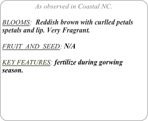 As observed in Coastal NC.

BLOOMS:  Reddish brown with curlled petals spetals and lip. Very Fragrant.

FRUIT  AND  SEED: N/A

KEY FEATURES: fertilize during gorwing season. 