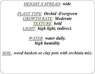 HEIGHT X SPREAD: wide

PLANT TYPE: Orchid -Evergreen
GROWTH RATE: Moderate
TEXTURE: bold
LIGHT: high light, indirect.

WATER: water daily.
high humidity 

SOIL: wood baskets or clay pots with orchiata mix.
