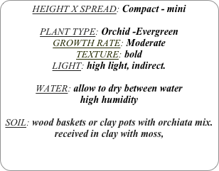 HEIGHT X SPREAD: Compact - mini

PLANT TYPE: Orchid -Evergreen
GROWTH RATE: Moderate
TEXTURE: bold
LIGHT: high light, indirect.

WATER: allow to dry between water
high humidity 

SOIL: wood baskets or clay pots with orchiata mix.
received in clay with moss, 
