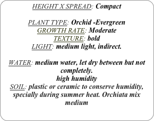 HEIGHT X SPREAD: Compact

PLANT TYPE: Orchid -Evergreen
GROWTH RATE: Moderate
TEXTURE: bold
LIGHT: medium light, indirect.

WATER: medium water, let dry between but not completely.
high humidity 
SOIL: plastic or ceramic to conserve humidity, specially during summer heat. Orchiata mix medium
