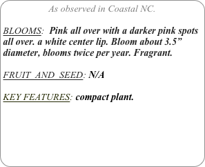 As observed in Coastal NC.

BLOOMS:  Pink all over with a darker pink spots all over. a white center lip. Bloom about 3.5” diameter, blooms twice per year. Fragrant.

FRUIT  AND  SEED: N/A

KEY FEATURES: compact plant.