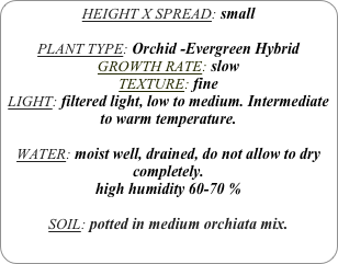 HEIGHT X SPREAD: small

PLANT TYPE: Orchid -Evergreen Hybrid
GROWTH RATE: slow
TEXTURE: fine
LIGHT: filtered light, low to medium. Intermediate to warm temperature.

WATER: moist well, drained, do not allow to dry completely.
high humidity 60-70 %

SOIL: potted in medium orchiata mix.
