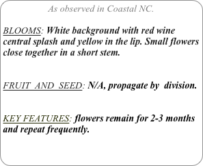 As observed in Coastal NC.

BLOOMS: White background with red wine central splash and yellow in the lip. Small flowers close together in a short stem.


FRUIT  AND  SEED: N/A, propagate by  division.


KEY FEATURES: flowers remain for 2-3 months and repeat frequently.