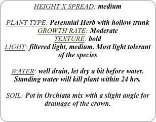 HEIGHT X SPREAD: medium

PLANT TYPE: Perennial Herb with hollow trunk
GROWTH RATE: Moderate
TEXTURE: bold
LIGHT: filtered light, medium. Most light tolerant of the species

WATER: well drain, let dry a bit before water. Standing water will kill plant within 24 hrs.

SOIL: Pot in Orchiata mix with a slight angle for drainage of the crown. 
