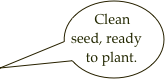 Clean seed, ready to plant.