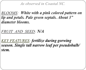 As observed in Coastal NC.

BLOOMS:  White with a pink colored pattern on lip and petals. Pale green septals. About 3” diameter blooms.

FRUIT  AND  SEED: N/A

KEY FEATURES: fertilize during gorwing season. Single tall narrow leaf per pseudobulb/stem.