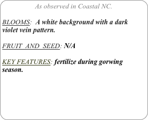 As observed in Coastal NC.

BLOOMS:  A white background with a dark violet vein pattern.

FRUIT  AND  SEED: N/A

KEY FEATURES: fertilize during gorwing season. 