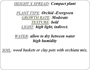 HEIGHT X SPREAD: Compact plant

PLANT TYPE: Orchid -Evergreen
GROWTH RATE: Moderate
TEXTURE: bold
LIGHT: high light, indirect.

WATER: allow to dry between water
high humidity 

SOIL: wood baskets or clay pots with orchiata mix.
