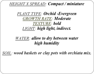 HEIGHT X SPREAD: Compact / miniature

PLANT TYPE: Orchid -Evergreen
GROWTH RATE: Moderate
TEXTURE: bold
LIGHT: high light, indirect.

WATER: allow to dry between water
high humidity 

SOIL: wood baskets or clay pots with orchiata mix.
