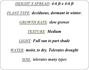 HEIGHT X SPREAD: 4-6 ft x 4-6 ft

PLANT TYPE: deciduous, dormant in winter.

GROWTH RATE: slow grower

TEXTURE: Medium

LIGHT: Full sun to part shade

WATER: moist, to dry. Tolerates drought

SOIL: tolerates many types
