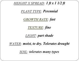 HEIGHT X SPREAD: 1 ft x 1 1/2 ft

PLANT TYPE: Perennial

GROWTH RATE: fast

TEXTURE: fine

LIGHT: part shade

WATER: moist, to dry. Tolerates drought

SOIL: tolerates many types
