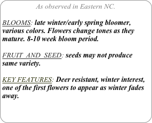 As observed in Eastern NC.

BLOOMS: late winter/early spring bloomer, various colors. Flowers change tones as they mature. 8-10 week bloom period.

FRUIT  AND  SEED: seeds may not produce same variety.

KEY FEATURES: Deer resistant, winter interest, one of the first flowers to appear as winter fades away.
