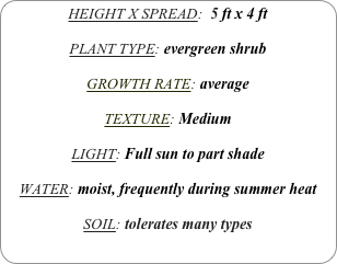 HEIGHT X SPREAD:  5 ft x 4 ft

PLANT TYPE: evergreen shrub

GROWTH RATE: average

TEXTURE: Medium

LIGHT: Full sun to part shade

WATER: moist, frequently during summer heat

SOIL: tolerates many types
