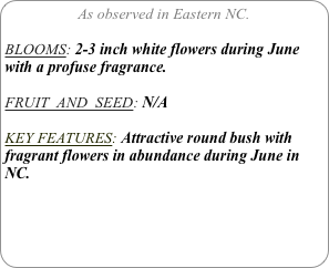 As observed in Eastern NC.

BLOOMS: 2-3 inch white flowers during June with a profuse fragrance.

FRUIT  AND  SEED: N/A

KEY FEATURES: Attractive round bush with fragrant flowers in abundance during June in NC.
