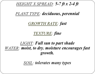 HEIGHT X SPREAD: 5-7 ft x 2-4 ft

PLANT TYPE: deciduous, perennial

GROWTH RATE: fast

TEXTURE: fine

LIGHT: Full sun to part shade
WATER: moist, to dry. moisture encourages fast growth.

SOIL: tolerates many types
