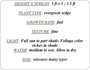 HEIGHT X SPREAD: 1 ft x 1 - 1.5 ft

PLANT TYPE: evergreen sedge

GROWTH RATE: fast

TEXTURE: fine

LIGHT: Full sun to part shade. Foliage color richer in shade
WATER: medium to wet. Allow to dry

SOIL: tolerates many types
