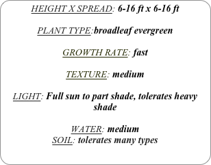 HEIGHT X SPREAD: 6-16 ft x 6-16 ft

PLANT TYPE:broadleaf evergreen

GROWTH RATE: fast

TEXTURE: medium

LIGHT: Full sun to part shade, tolerates heavy shade

WATER: medium
SOIL: tolerates many types
