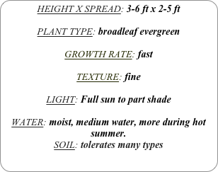 HEIGHT X SPREAD: 3-6 ft x 2-5 ft

PLANT TYPE: broadleaf evergreen

GROWTH RATE: fast

TEXTURE: fine

LIGHT: Full sun to part shade

WATER: moist, medium water, more during hot summer.
SOIL: tolerates many types
