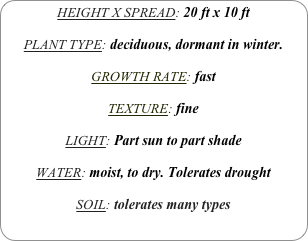 HEIGHT X SPREAD: 20 ft x 10 ft

PLANT TYPE: deciduous, dormant in winter.

GROWTH RATE: fast

TEXTURE: fine

LIGHT: Part sun to part shade

WATER: moist, to dry. Tolerates drought

SOIL: tolerates many types

