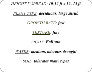 HEIGHT X SPREAD: 10-12 ft x 12- 15 ft

PLANT TYPE: deciduous, large shrub

GROWTH RATE: fast

TEXTURE: fine

LIGHT: Full sun

WATER: medium, tolerates drought

SOIL: tolerates many types
