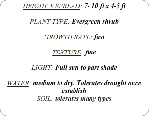 HEIGHT X SPREAD: 7- 10 ft x 4-5 ft

PLANT TYPE: Evergreen shrub

GROWTH RATE: fast

TEXTURE: fine

LIGHT: Full sun to part shade

WATER: medium to dry. Tolerates drought once establish
SOIL: tolerates many types
