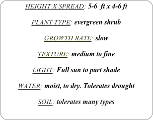 HEIGHT X SPREAD: 5-6  ft x 4-6 ft

PLANT TYPE: evergreen shrub

GROWTH RATE: slow

TEXTURE: medium to fine

LIGHT: Full sun to part shade

WATER: moist, to dry. Tolerates drought

SOIL: tolerates many types
