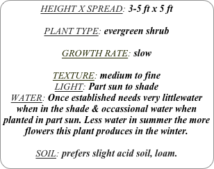 HEIGHT X SPREAD: 3-5 ft x 5 ft

PLANT TYPE: evergreen shrub

GROWTH RATE: slow

TEXTURE: medium to fine
LIGHT: Part sun to shade
WATER: Once established needs very littlewater when in the shade & occassional water when planted in part sun. Less water in summer the more flowers this plant produces in the winter.
SOIL: prefers slight acid soil, loam.