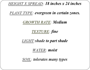 HEIGHT X SPREAD: 18 inches x 24 inches

PLANT TYPE: evergreen in certain zones.

GROWTH RATE: Medium

TEXTURE: fine

LIGHT:shade to part shade

WATER: moist

SOIL: tolerates many types

