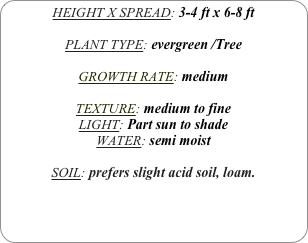 HEIGHT X SPREAD: 3-4 ft x 6-8 ft

PLANT TYPE: evergreen /Tree

GROWTH RATE: medium

TEXTURE: medium to fine
LIGHT: Part sun to shade
WATER: semi moist
SOIL: prefers slight acid soil, loam.