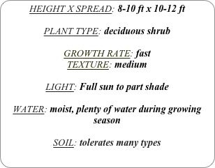HEIGHT X SPREAD: 8-10 ft x 10-12 ft

PLANT TYPE: deciduous shrub

GROWTH RATE: fast
TEXTURE: medium

LIGHT: Full sun to part shade

WATER: moist, plenty of water during growing season

SOIL: tolerates many types
