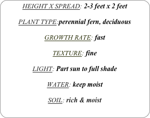HEIGHT X SPREAD: 2-3 feet x 2 feet

PLANT TYPE:perennial fern, deciduous

GROWTH RATE: fast

TEXTURE: fine

LIGHT: Part sun to full shade

WATER: keep moist

SOIL: rich & moist 
