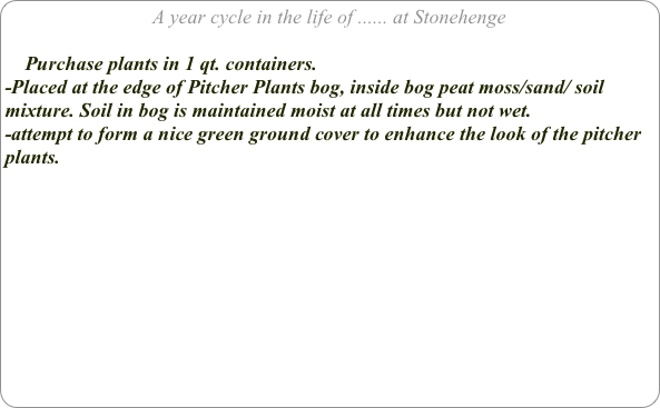 A year cycle in the life of ...... at Stonehenge

    Purchase plants in 1 qt. containers. 
-Placed at the edge of Pitcher Plants bog, inside bog peat moss/sand/ soil mixture. Soil in bog is maintained moist at all times but not wet.
-attempt to form a nice green ground cover to enhance the look of the pitcher plants.