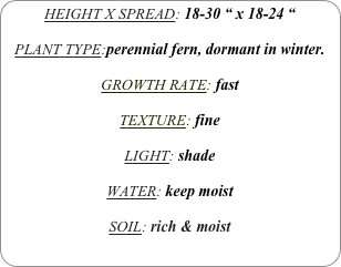 HEIGHT X SPREAD: 18-30 “ x 18-24 “

PLANT TYPE:perennial fern, dormant in winter.

GROWTH RATE: fast

TEXTURE: fine

LIGHT: shade

WATER: keep moist

SOIL: rich & moist 
