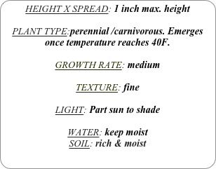 HEIGHT X SPREAD: 1 inch max. height

PLANT TYPE:perennial /carnivorous. Emerges once temperature reaches 40F.

GROWTH RATE: medium

TEXTURE: fine

LIGHT: Part sun to shade

WATER: keep moist
SOIL: rich & moist 
