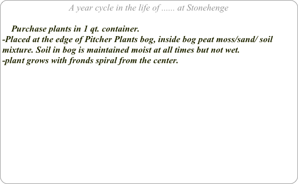 A year cycle in the life of ...... at Stonehenge

    Purchase plants in 1 qt. container. 
-Placed at the edge of Pitcher Plants bog, inside bog peat moss/sand/ soil mixture. Soil in bog is maintained moist at all times but not wet.
-plant grows with fronds spiral from the center.