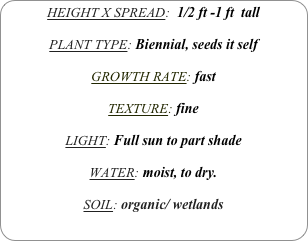 HEIGHT X SPREAD:  1/2 ft -1 ft  tall

PLANT TYPE: Biennial, seeds it self

GROWTH RATE: fast

TEXTURE: fine

LIGHT: Full sun to part shade

WATER: moist, to dry.

SOIL: organic/ wetlands
