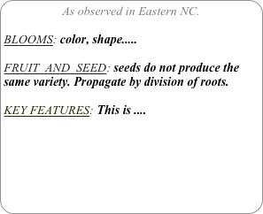 As observed in Eastern NC.

BLOOMS: color, shape.....

FRUIT  AND  SEED: seeds do not produce the same variety. Propagate by division of roots.

KEY FEATURES: This is ....
