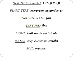 HEIGHT X SPREAD: 1 1/2 ft x 2 ft

PLANT TYPE: evergreen, groundcover

GROWTH RATE: fast

TEXTURE: fine

LIGHT: Full sun to part shade

WATER: keep evenly moistmoist

SOIL: organic.

